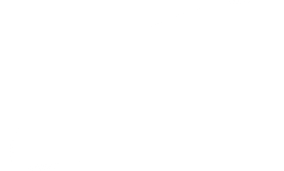 Dynamik Orbits